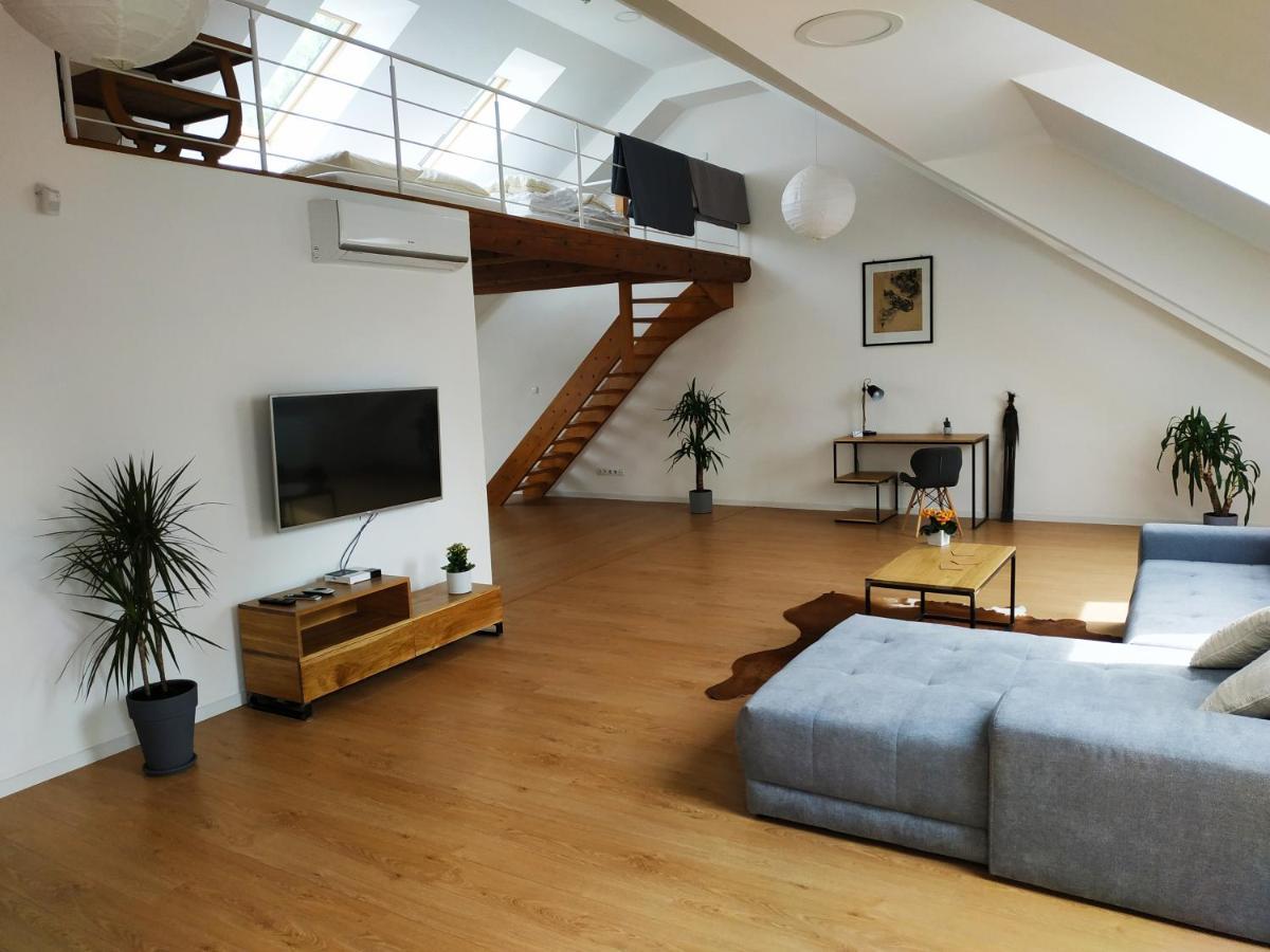 Apartament"Nad Niwka 6" Z Zamykanym Bezplatnym Parkingiem ビエルスコ・ビアバ エクステリア 写真
