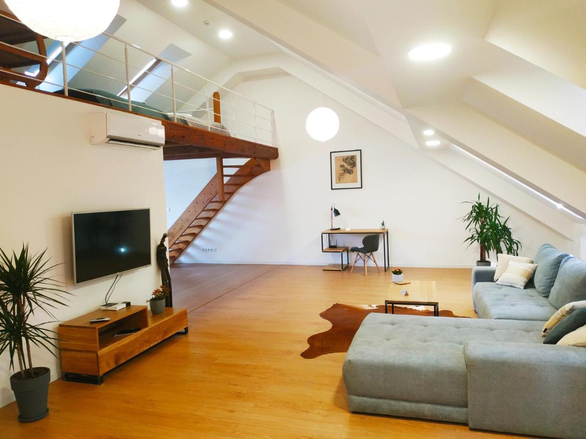 Apartament"Nad Niwka 6" Z Zamykanym Bezplatnym Parkingiem ビエルスコ・ビアバ エクステリア 写真