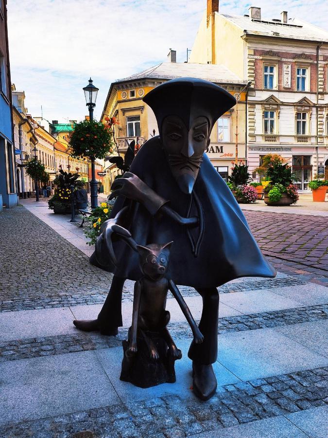 Apartament"Nad Niwka 6" Z Zamykanym Bezplatnym Parkingiem ビエルスコ・ビアバ エクステリア 写真