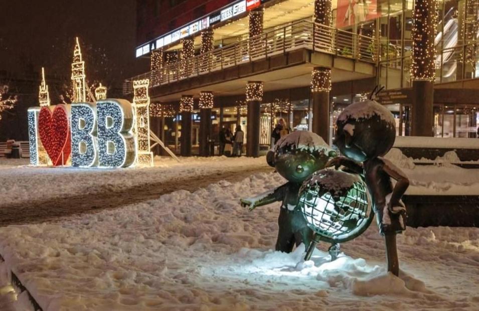 Apartament"Nad Niwka 6" Z Zamykanym Bezplatnym Parkingiem ビエルスコ・ビアバ エクステリア 写真