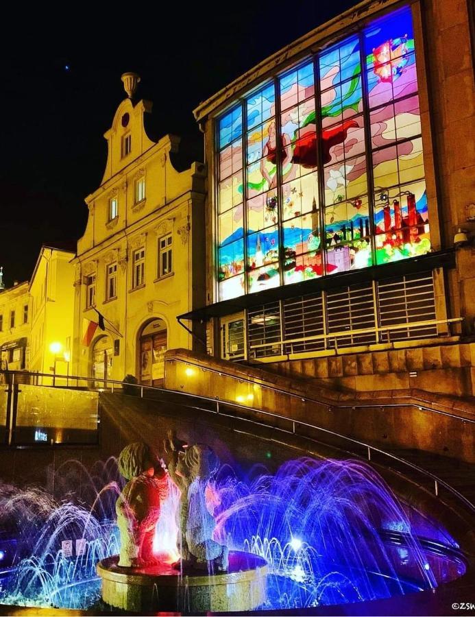 Apartament"Nad Niwka 6" Z Zamykanym Bezplatnym Parkingiem ビエルスコ・ビアバ エクステリア 写真